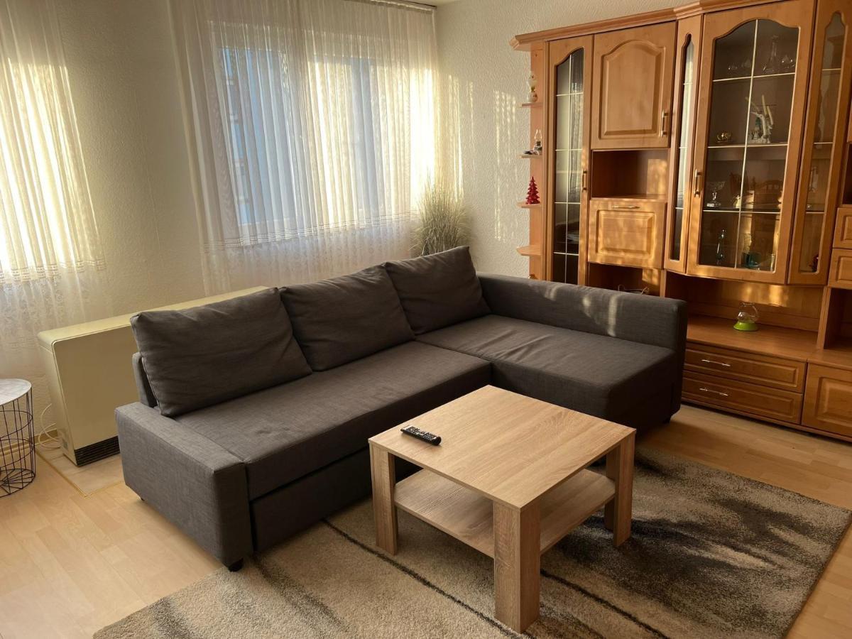 Schoene Ferienwohnung In Саарбрюккен Экстерьер фото